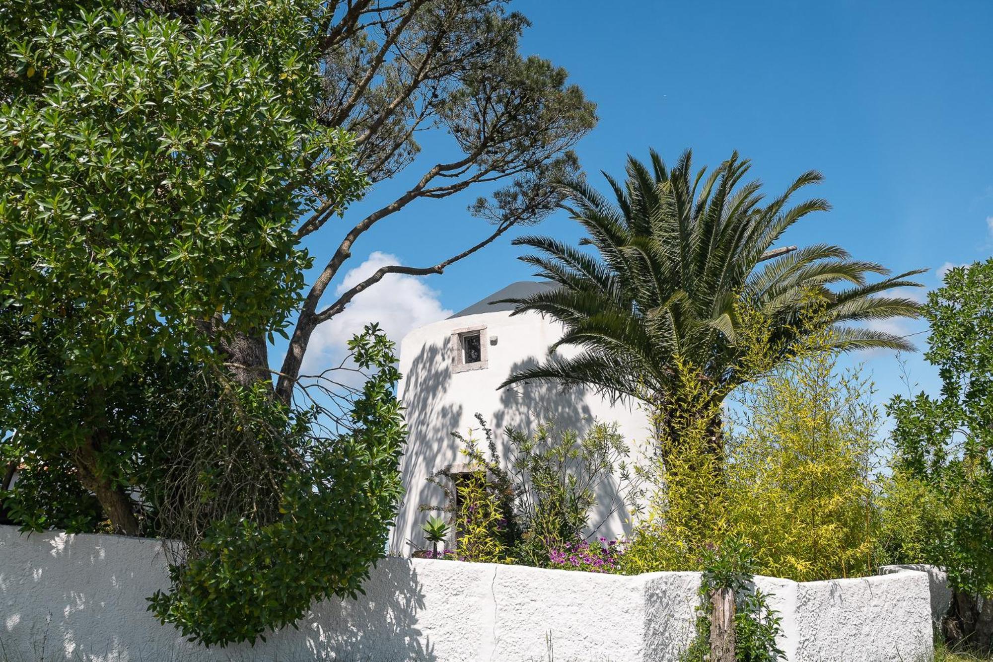 Villa New! Windmill In The Midst Of Nature Mafra Exterior foto