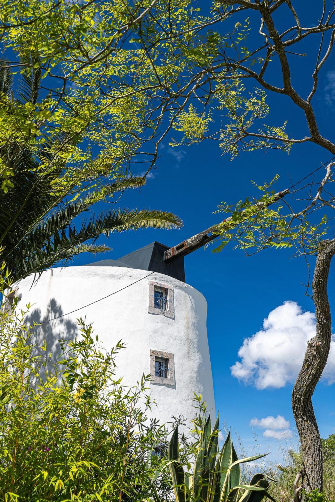 Villa New! Windmill In The Midst Of Nature Mafra Exterior foto