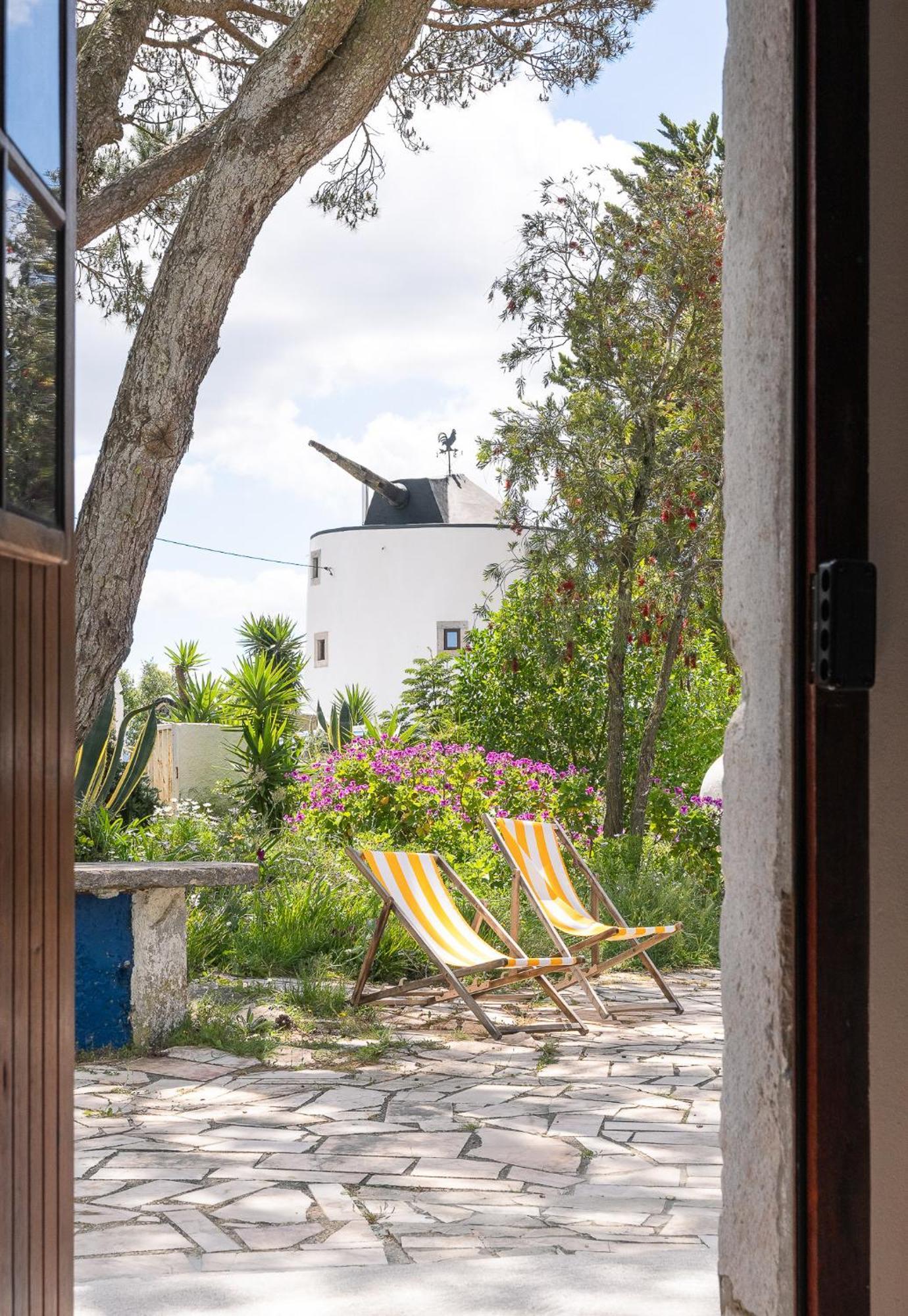 Villa New! Windmill In The Midst Of Nature Mafra Exterior foto